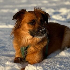 Meet your Posher, Ethan